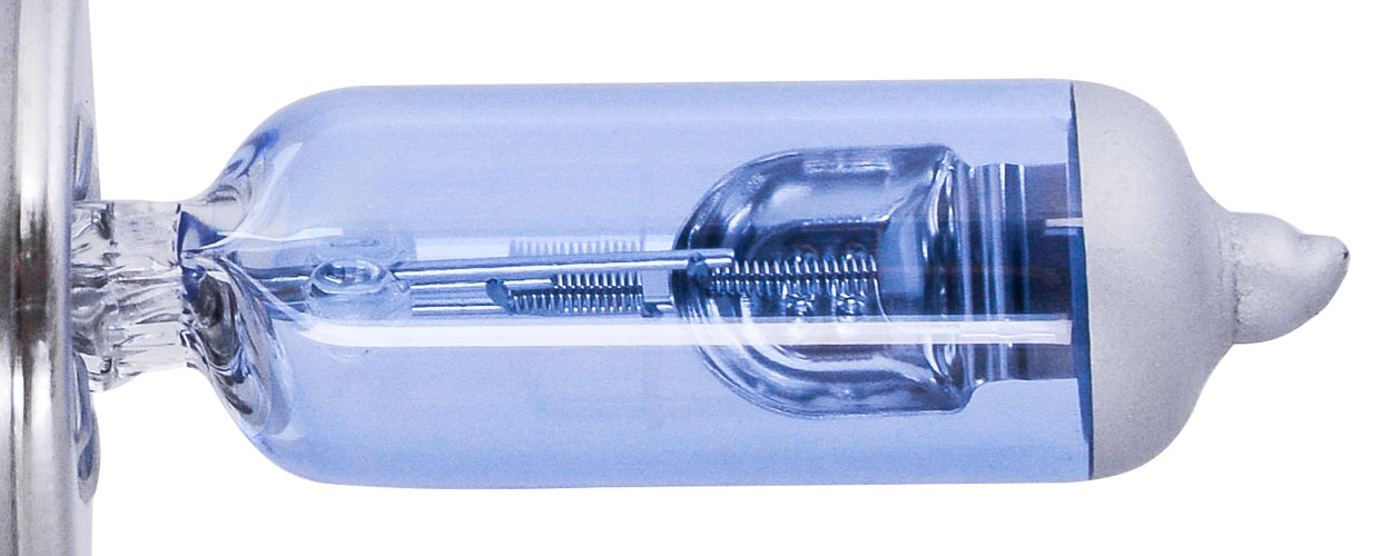 Xtreme White Hybrid Bulbs